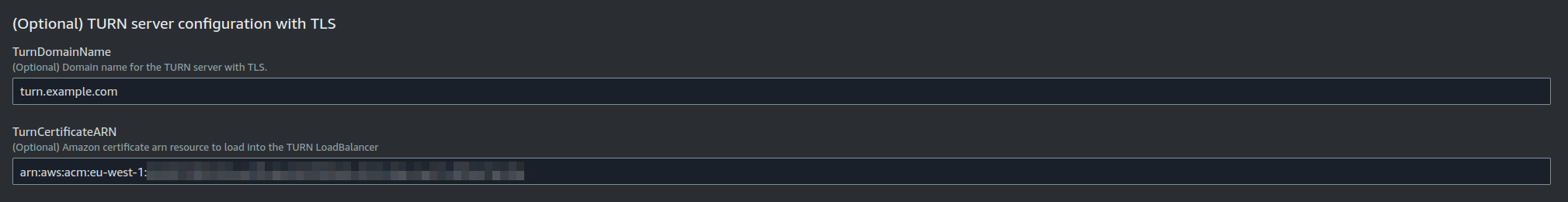 TURN server configuration with TLS