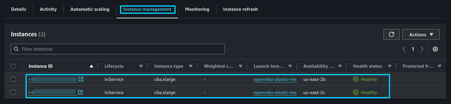 Instance Management