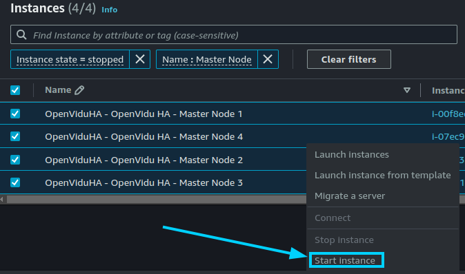 Start Master Nodes