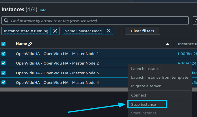Stop Master Nodes