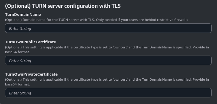 TURN server configuration with TLS