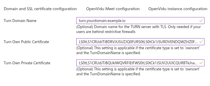 TURN server configuration with TLS
