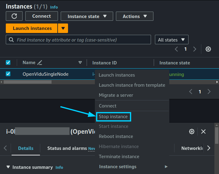 Stop instance