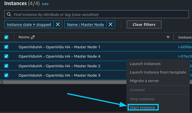 Start Master Nodes