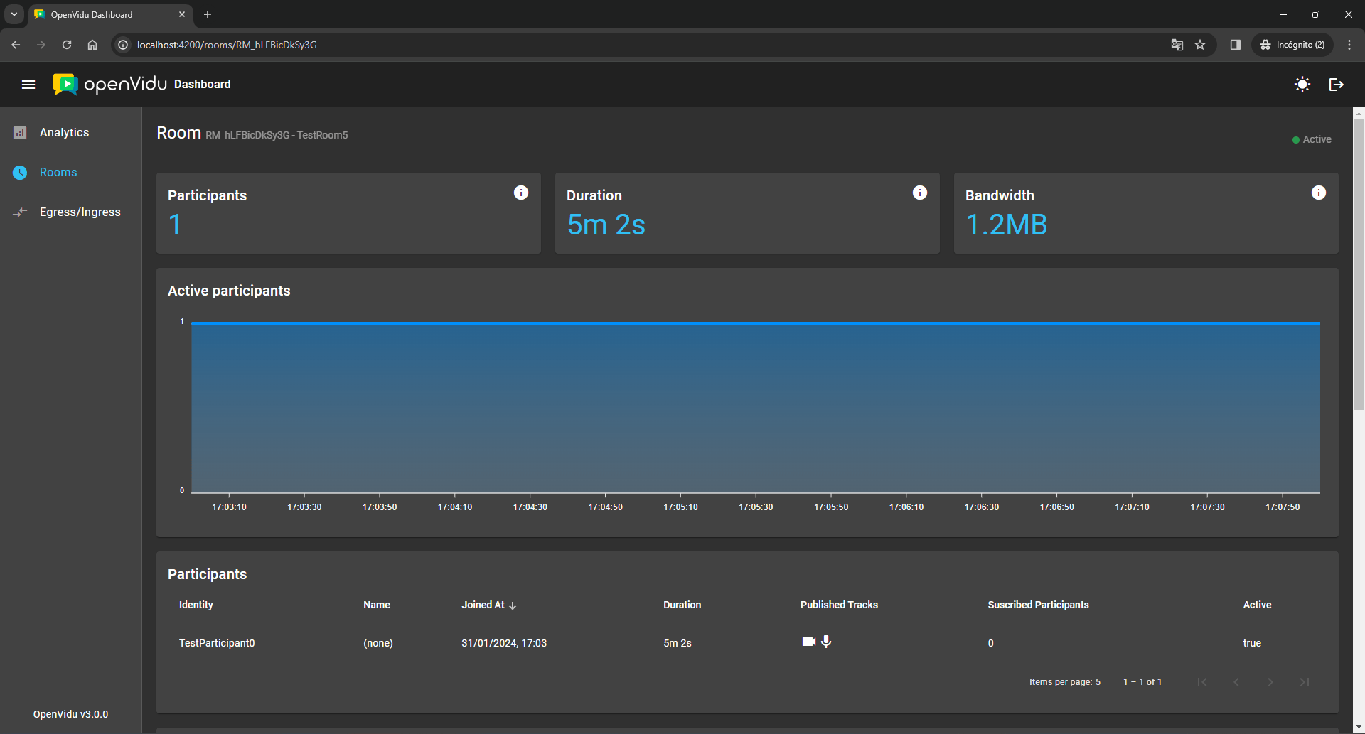 OpenVidu Dashboard listing with an active room