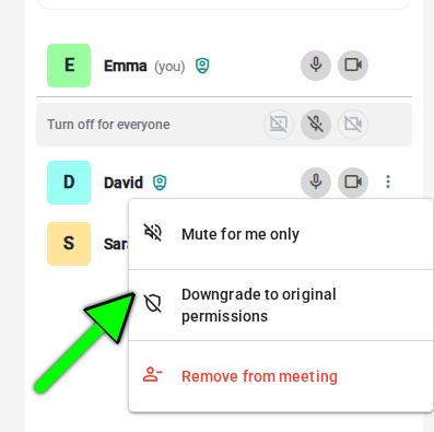 Participant menu with the option to demote a moderator