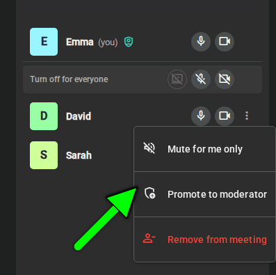 Participant menu with the option to promote to moderator