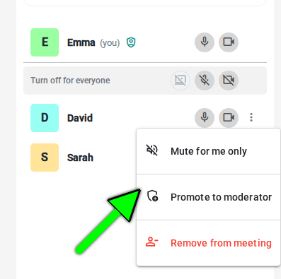 Participant menu with the option to promote to moderator