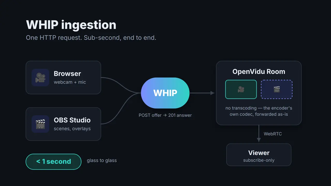 A browser and OBS Studio pushing video into an OpenVidu Room over WHIP, and a viewer subscribing to it