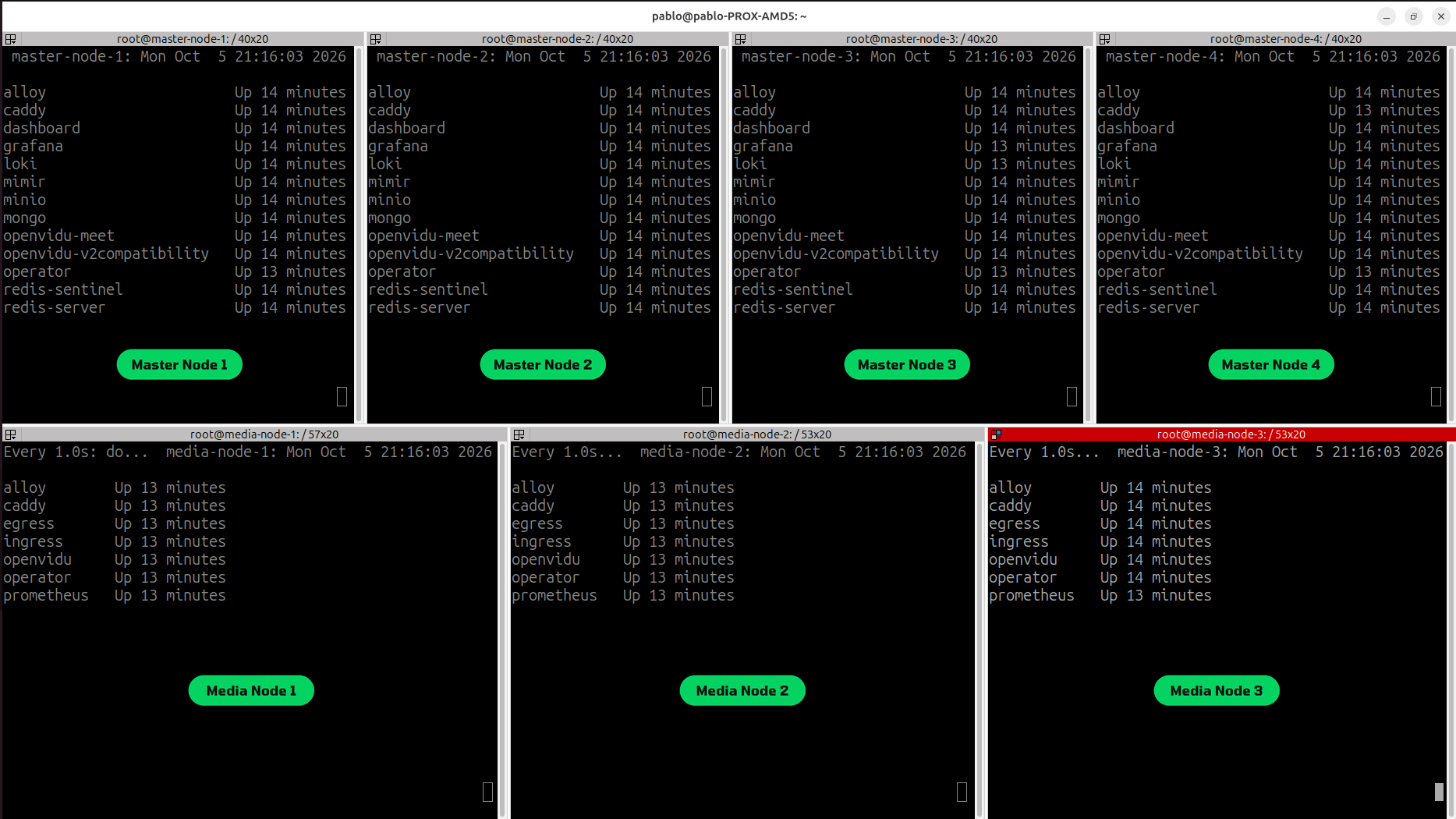 Seven terminal panes watching the Docker-in-Docker cluster: four Master Nodes each running Caddy, the operator, Redis server and Sentinel, MongoDB, MinIO, the dashboard, OpenVidu Meet, v2compatibility and the observability stack, and three Media Nodes each running the media server, egress, ingress, Caddy, the operator, Prometheus and Alloy