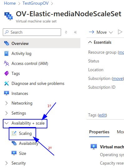 Selecting scaling menu Scale Set