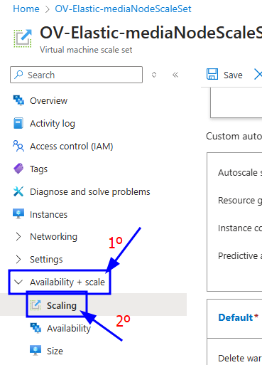 Select scaling option