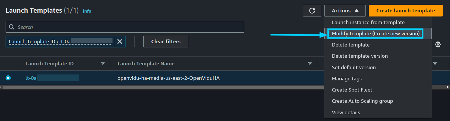 Edit Launch Template