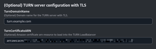 TURN server configuration with TLS