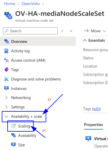 Selecting scaling menu Scale Set