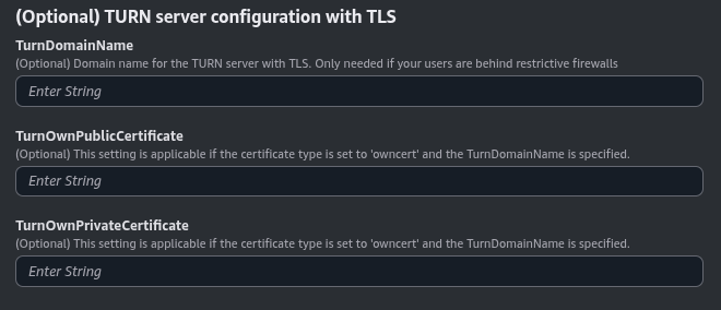 TURN server configuration with TLS