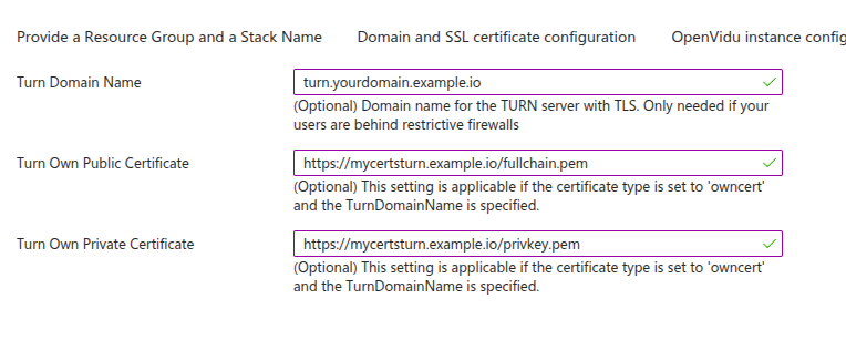 TURN server configuration with TLS