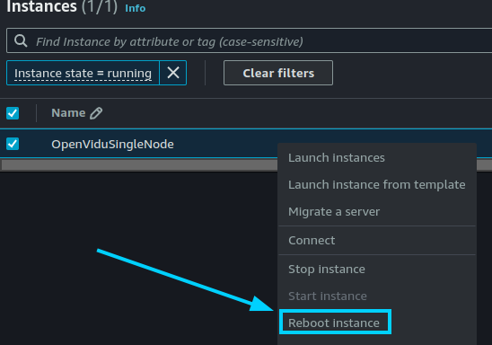 Reboot Instance