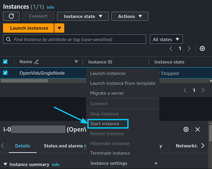 Start instance