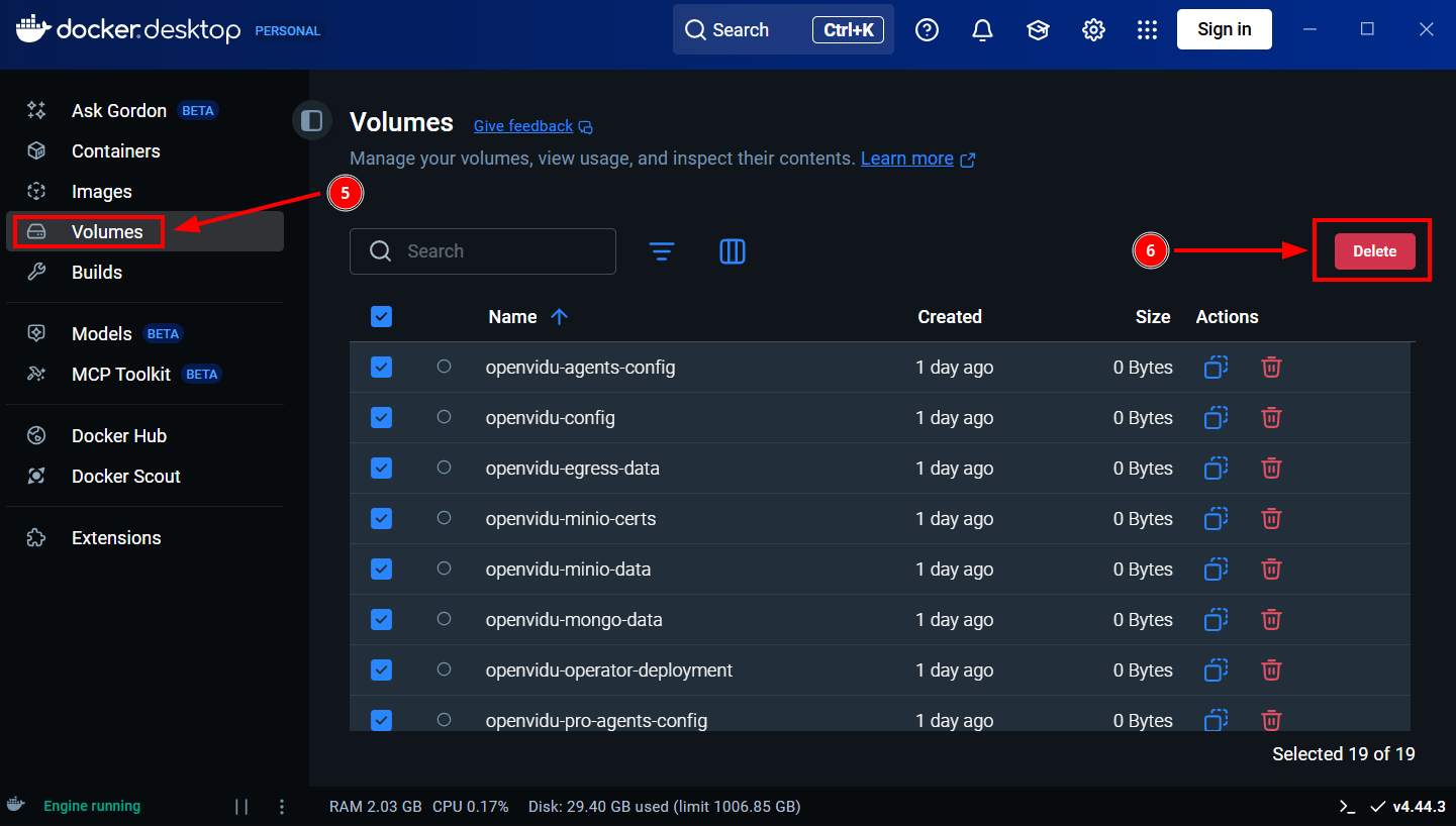 Docker Desktop - Remove Volumes
