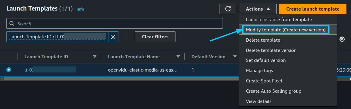 Edit Launch Template